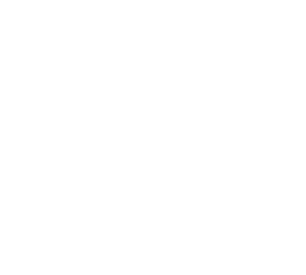 Symbol Vita